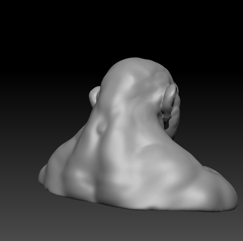 ape face for 3d printing 3D print model_3