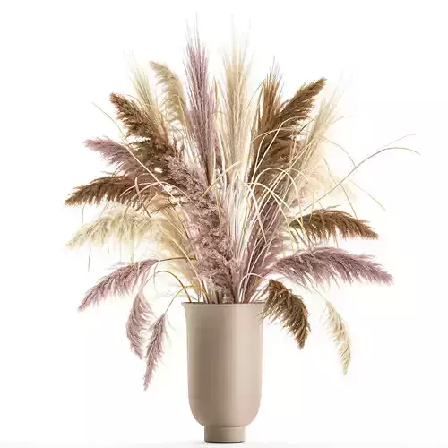 Decorative Bouquet of dried pampas grass 197