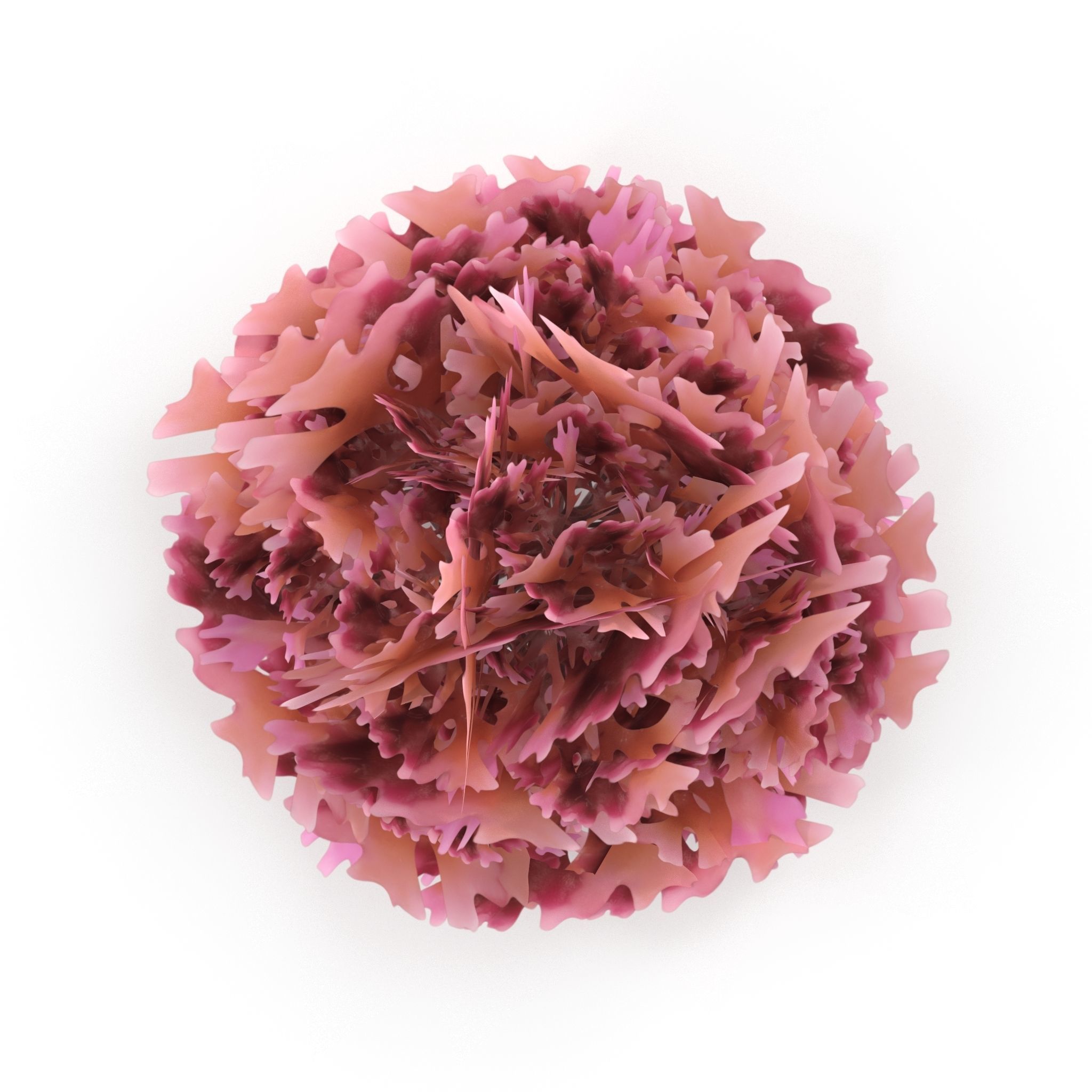 Seaweed Red V2 Low-poly 3D model_4