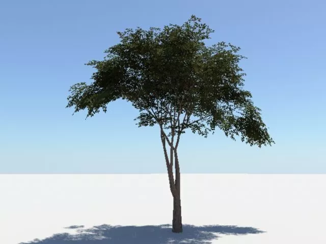 Tree with list 3D model