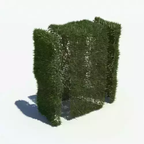 Green Natural Hedge