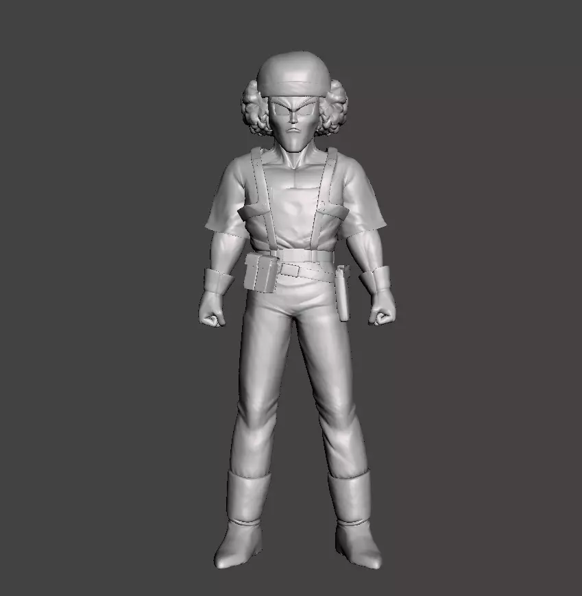 Duo of robbers Dragon ball 3D Model 3D print model