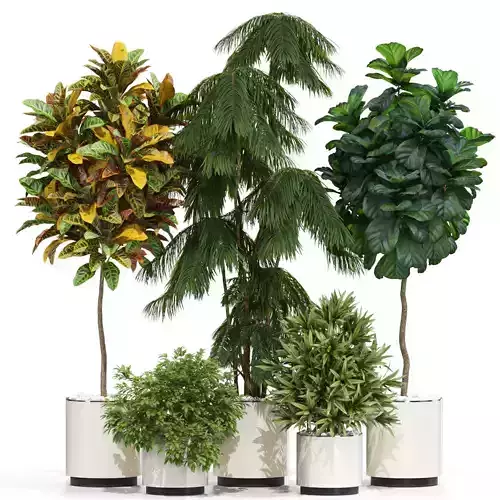 Plants collection 602 3D model