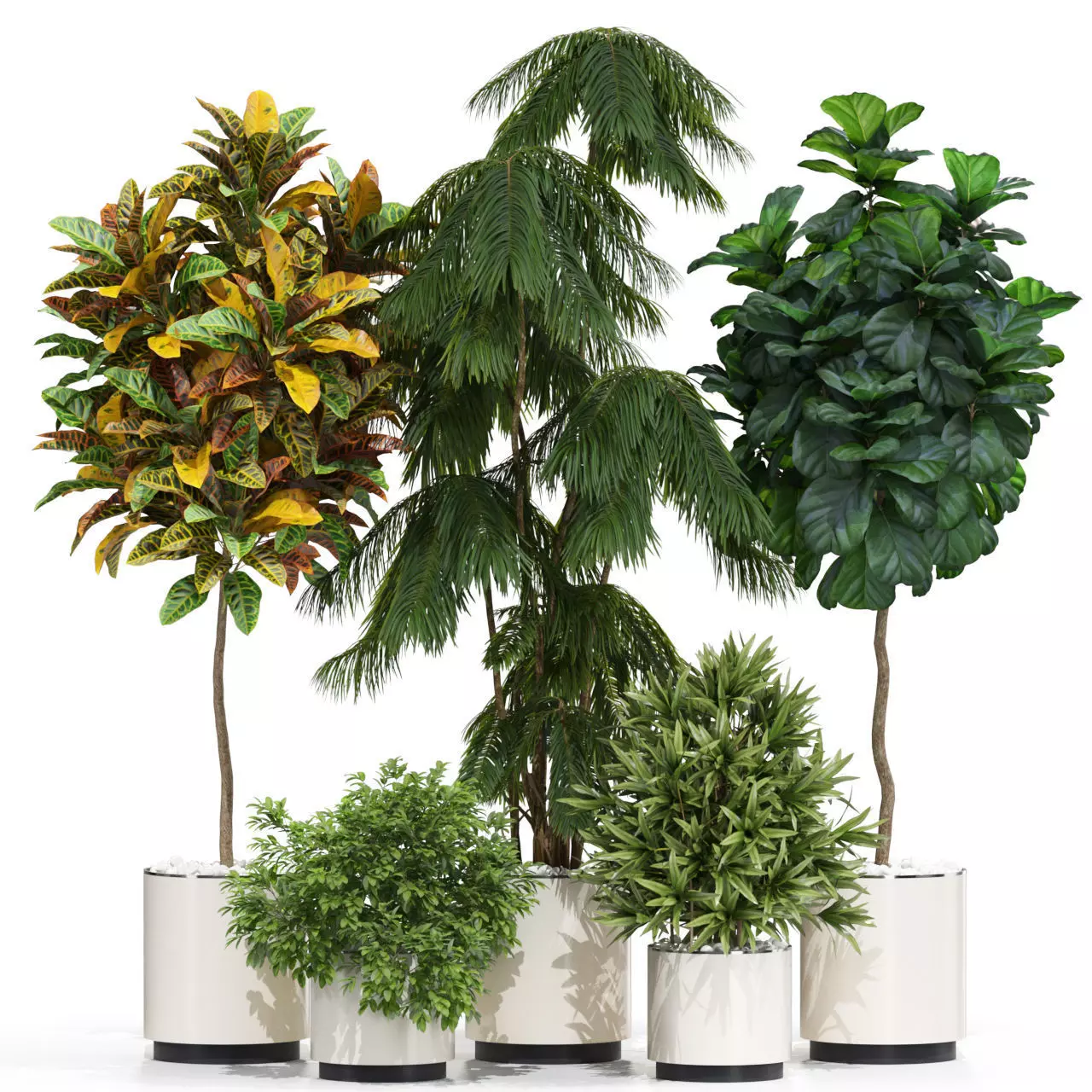 Plants collection 602 3D model