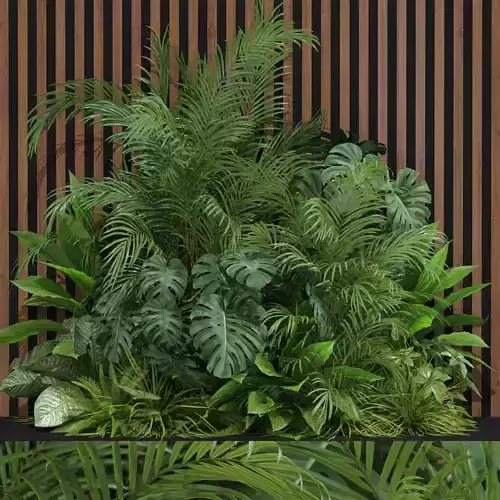 Plants collection 603 3D model