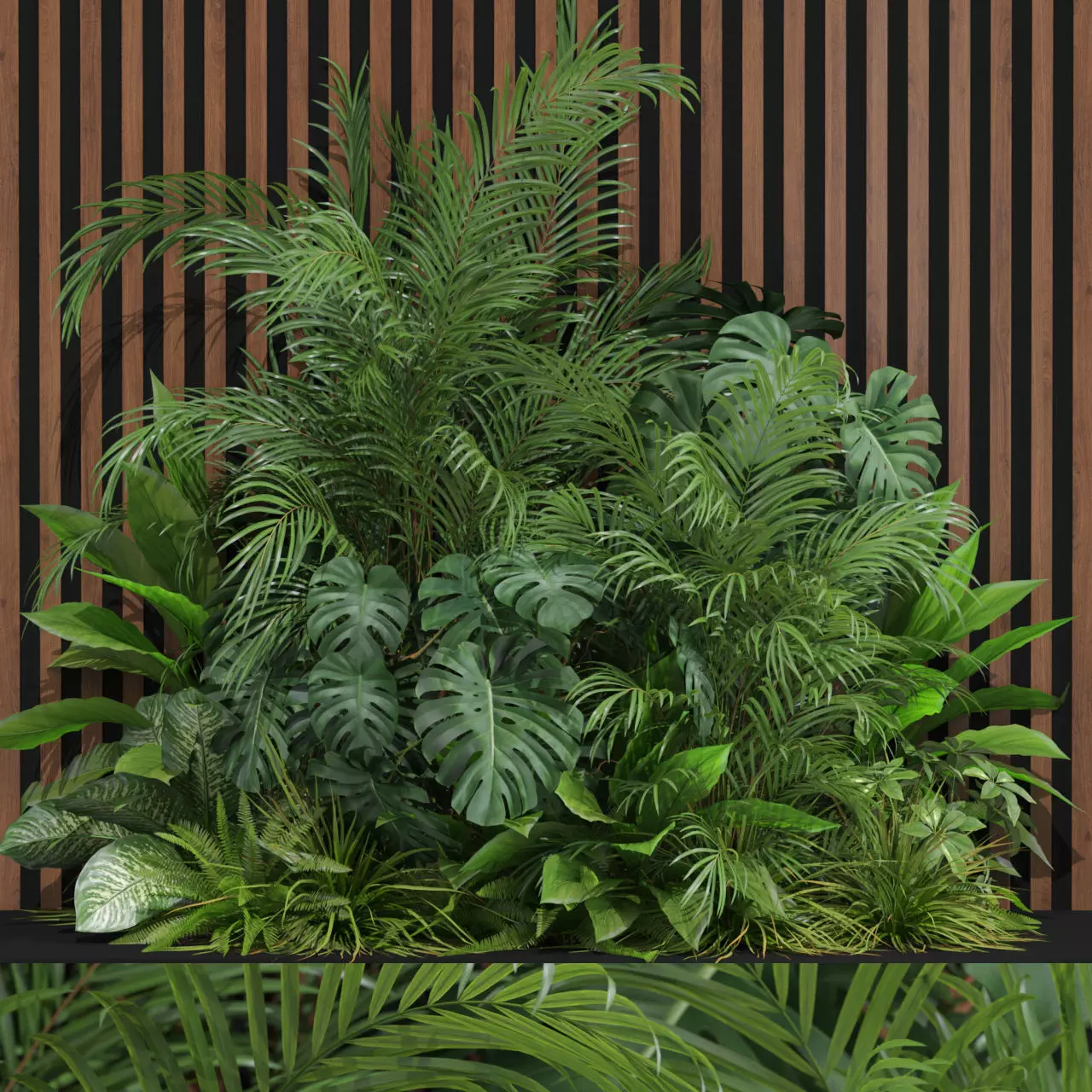 Plants collection 603 3D model
