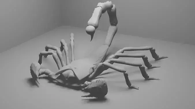 Scorpion 3d