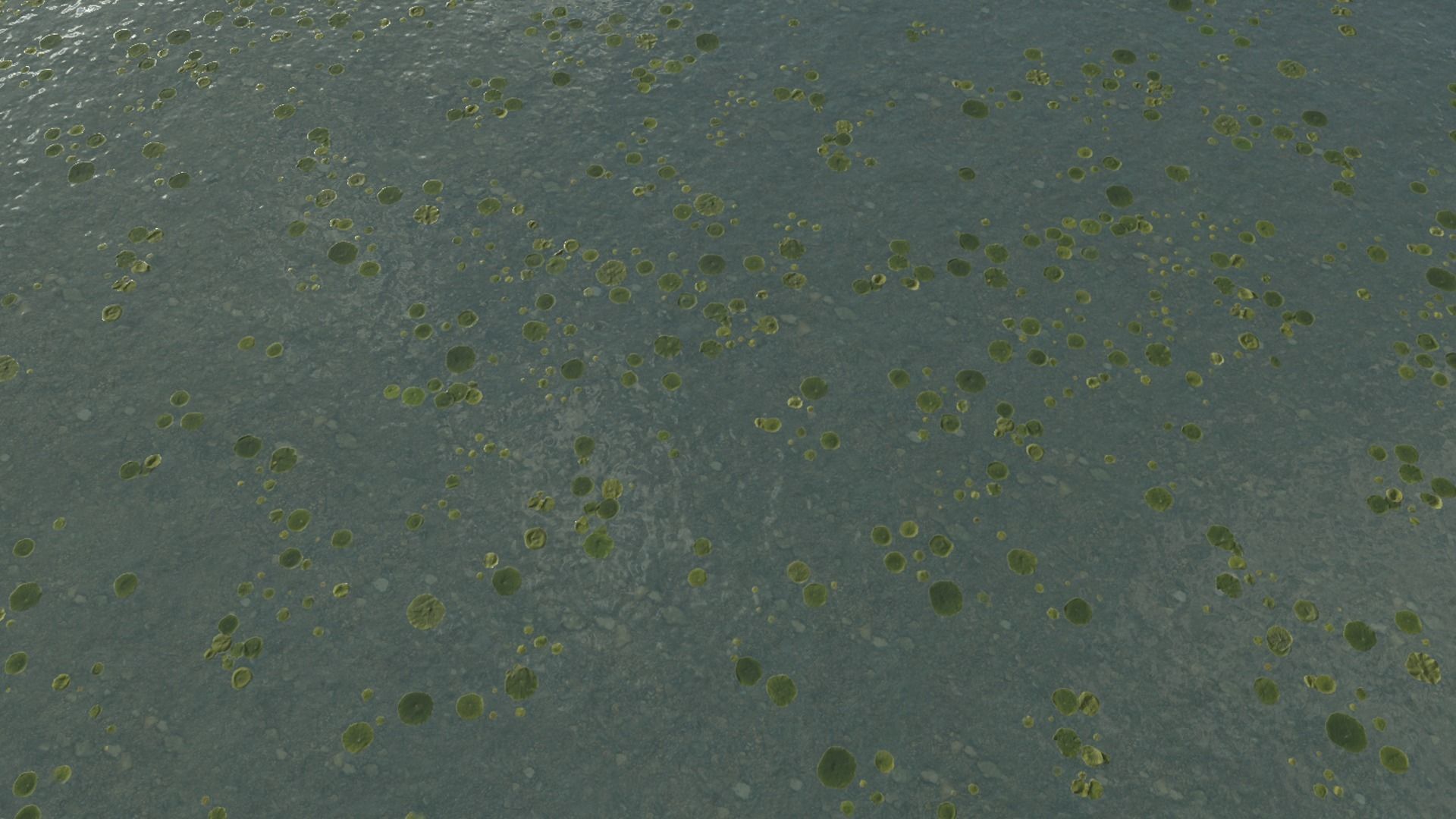 Water textures Pack  Texture_30