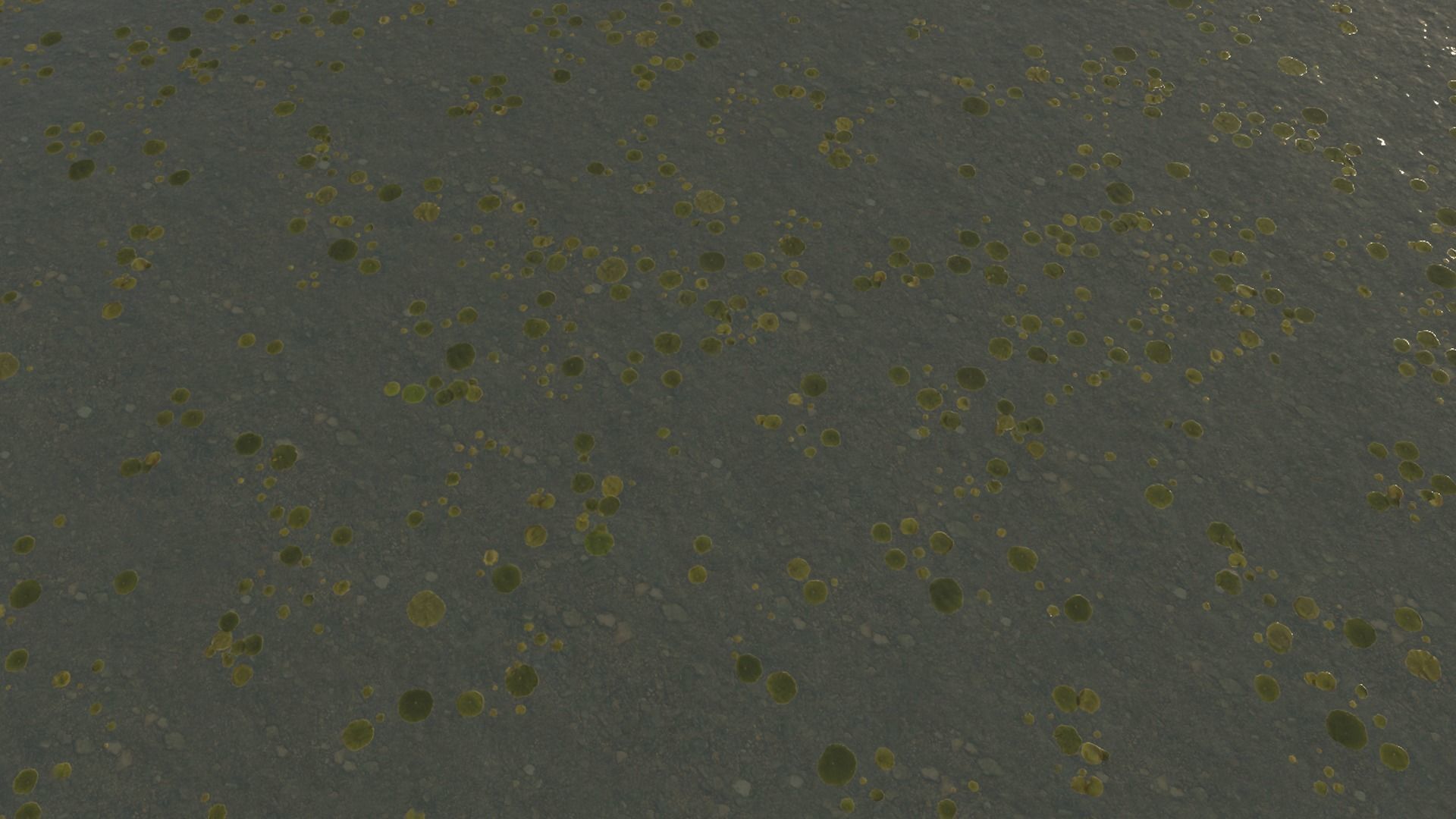 Water textures Pack  Texture_27