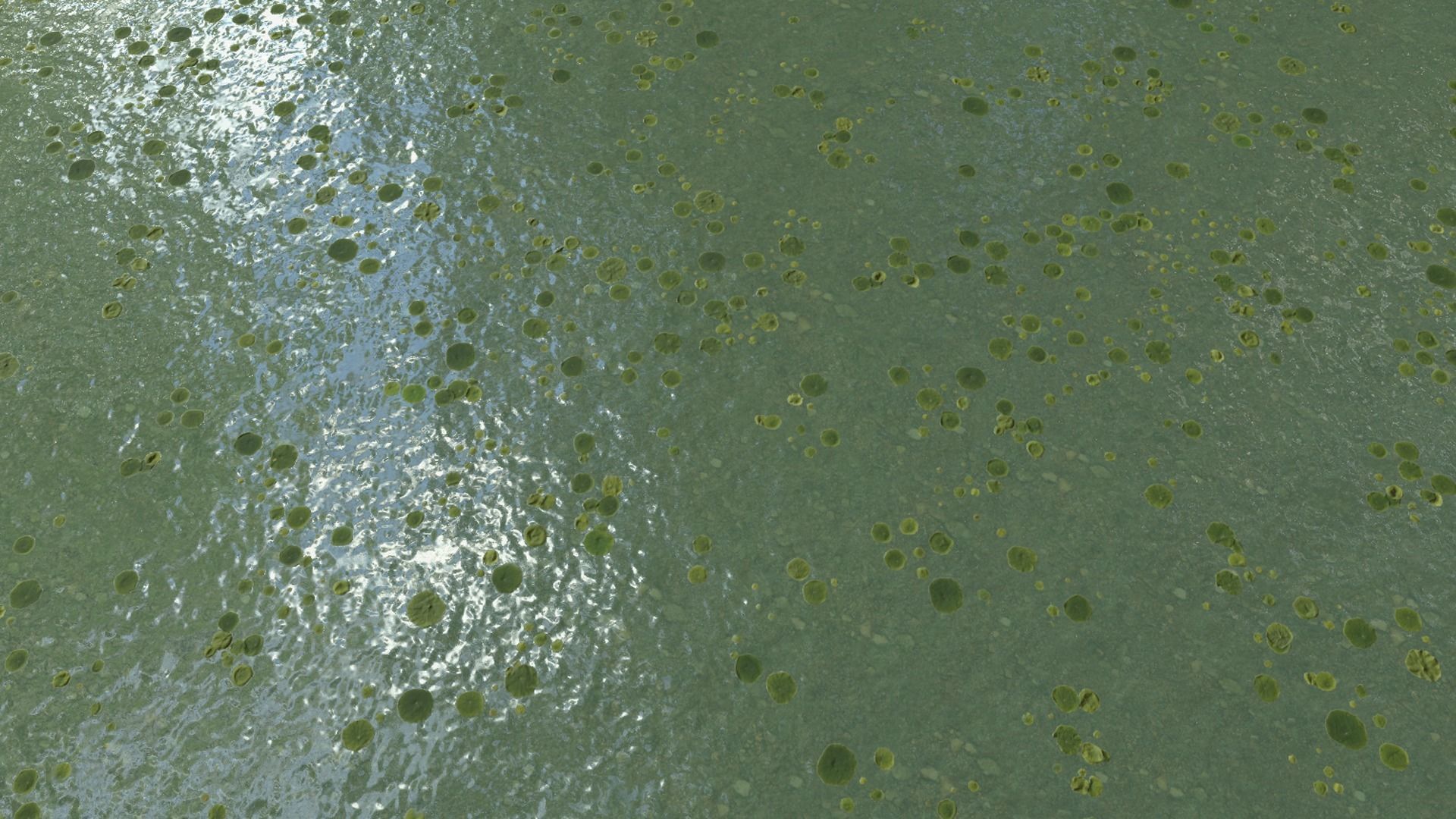 Water textures Pack  Texture_28