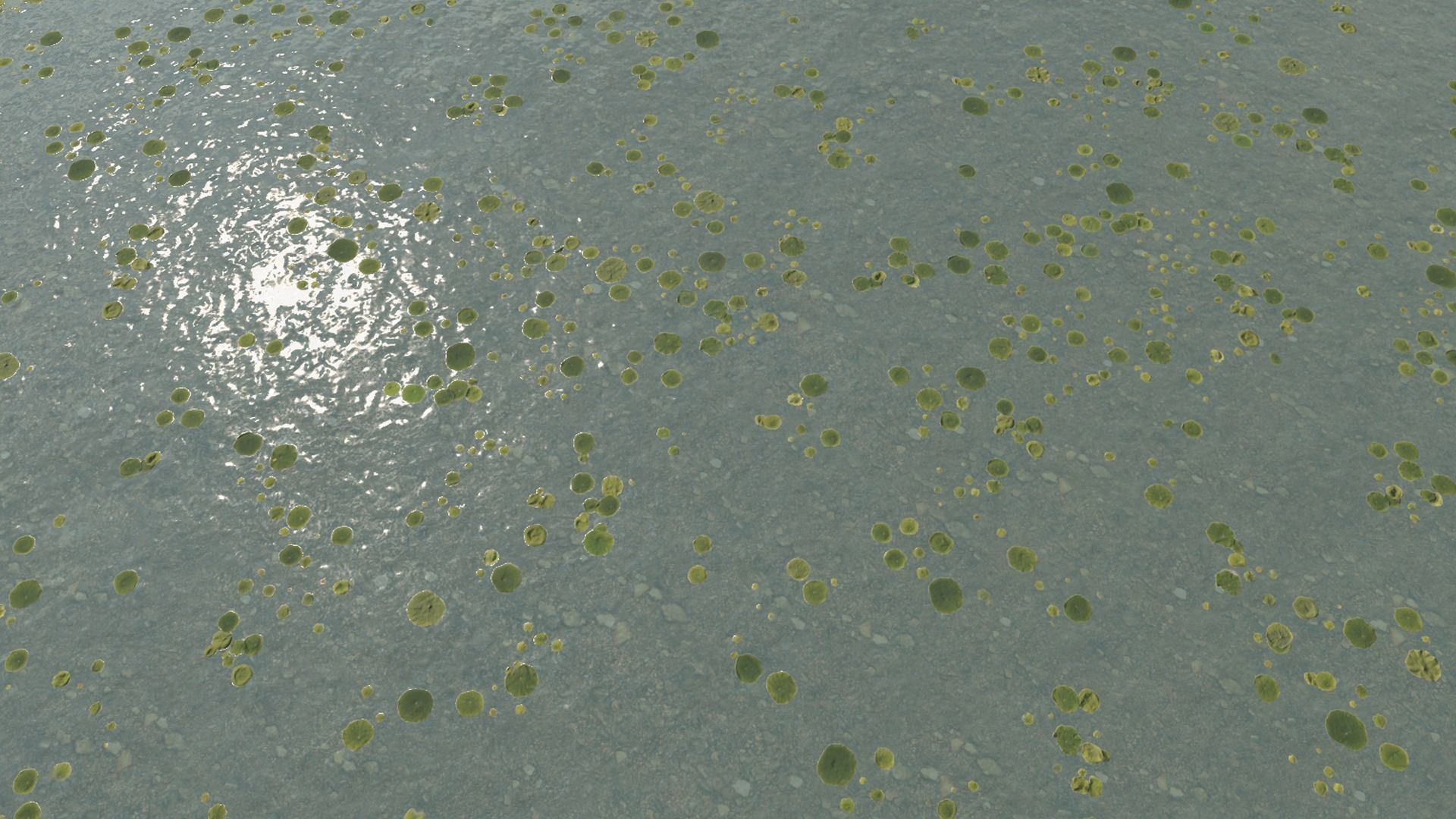 Water textures Pack  Texture_29