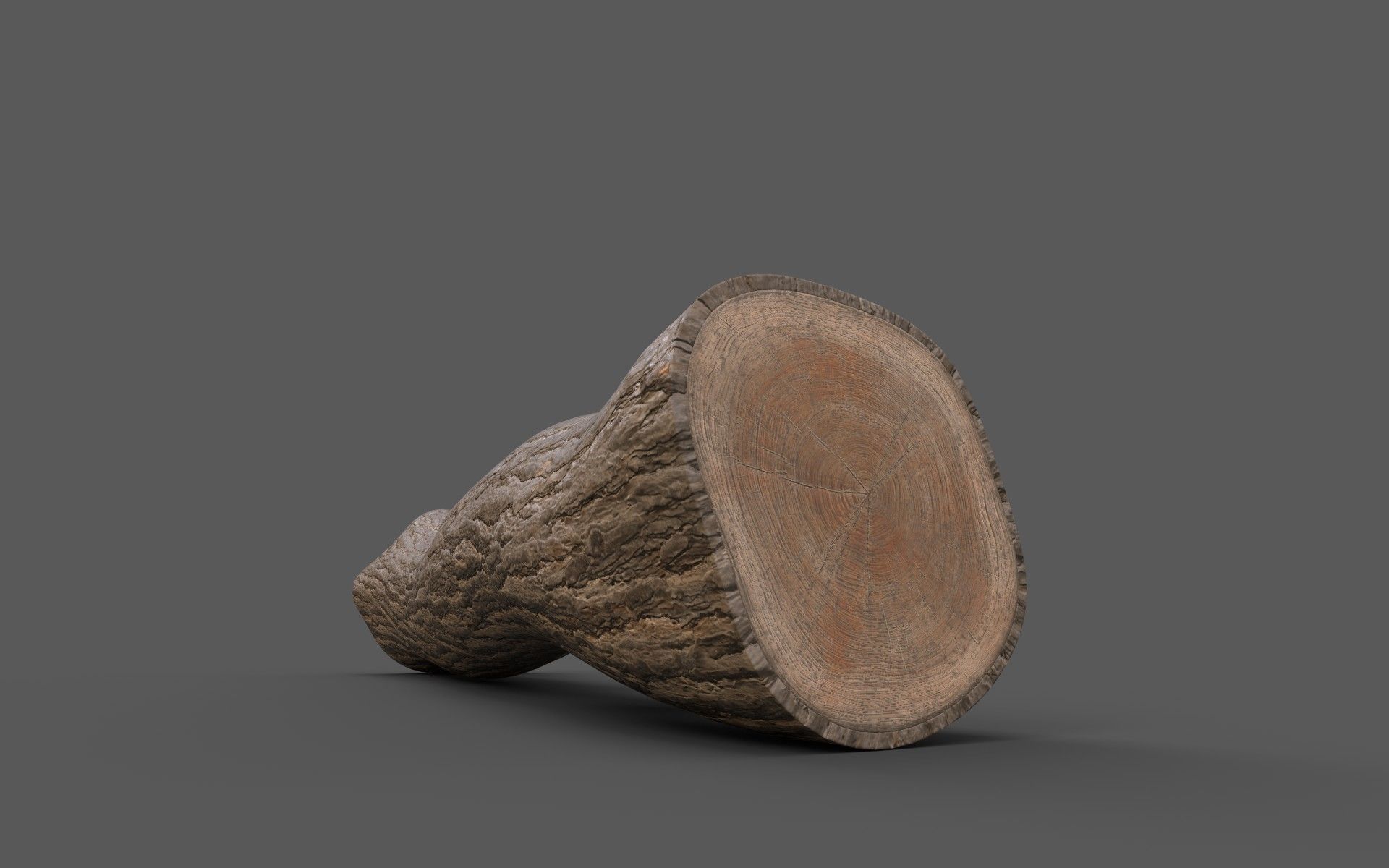 Big Pine Stump Low-Poly PBR Game Ready 3D Model Low-poly 3D model_14