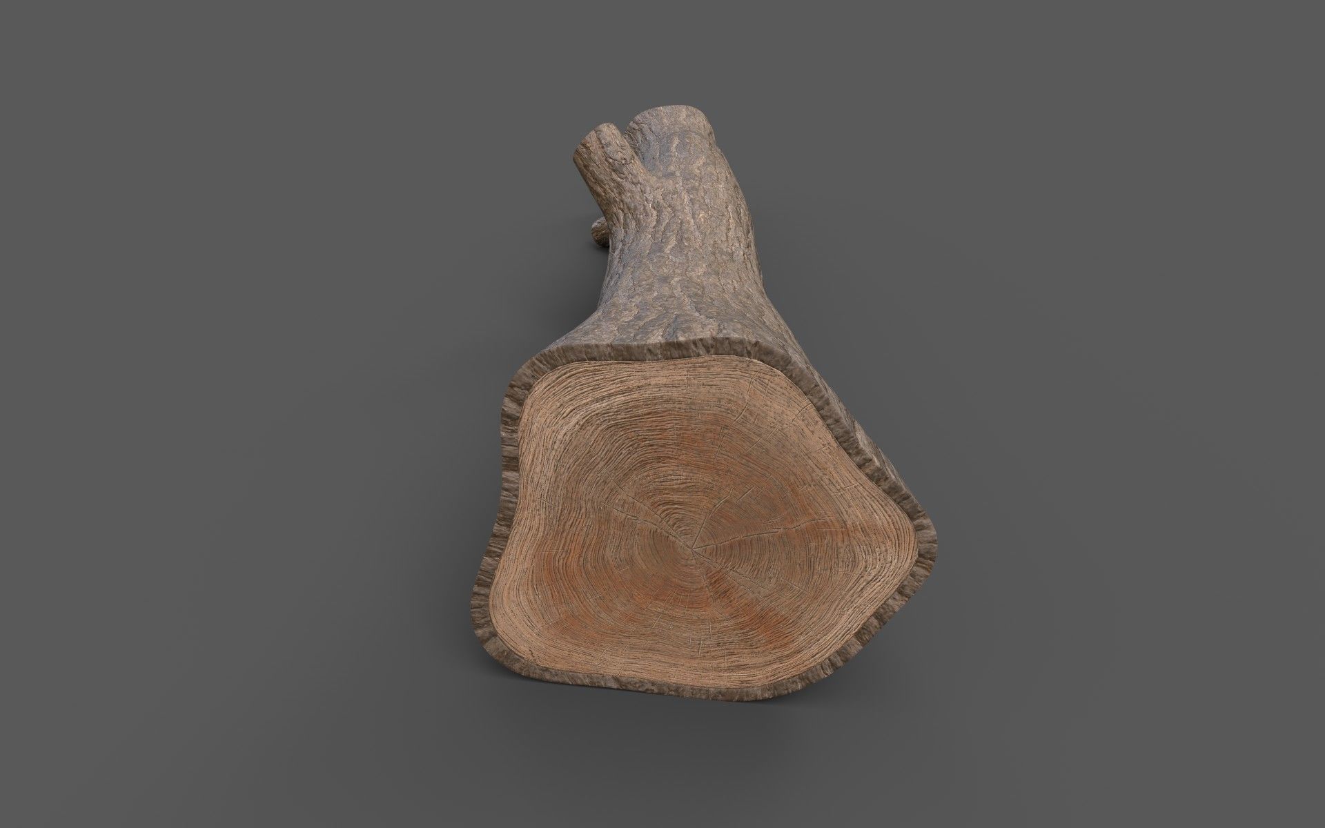 Big Pine Stump Low-Poly PBR Game Ready 3D Model Low-poly 3D model_11