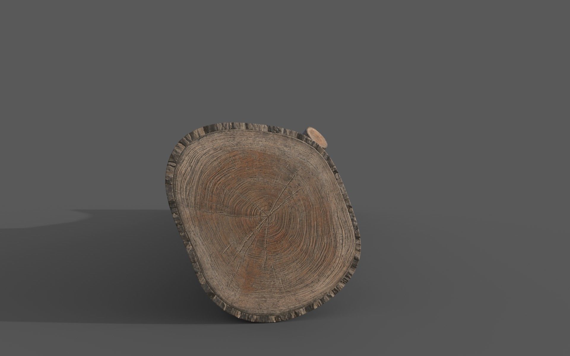 Big Pine Stump Low-Poly PBR Game Ready 3D Model Low-poly 3D model_5