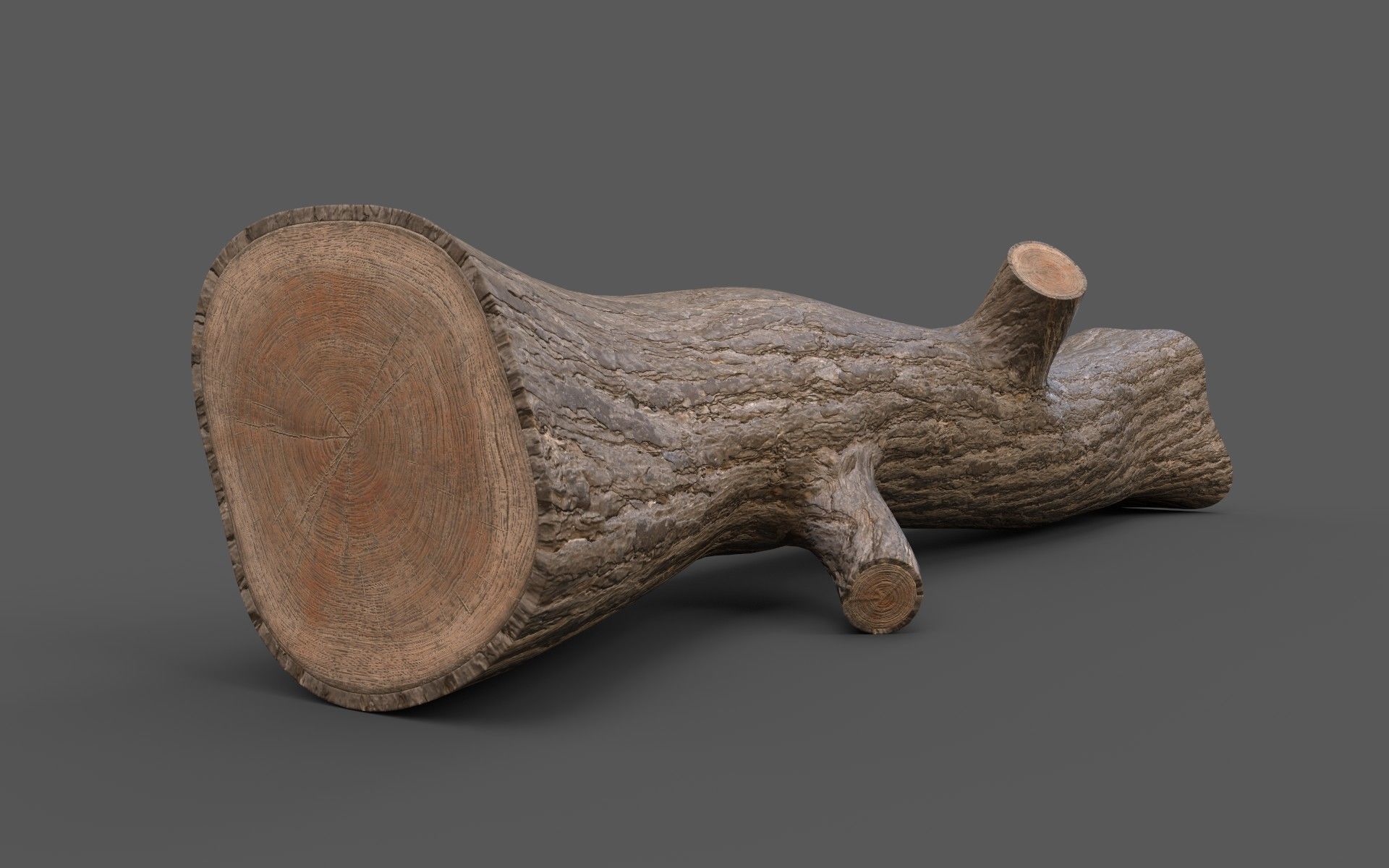 Big Pine Stump Low-Poly PBR Game Ready 3D Model Low-poly 3D model_7