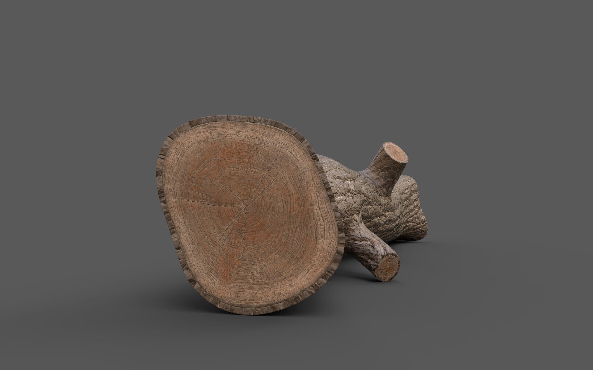 Big Pine Stump Low-Poly PBR Game Ready 3D Model Low-poly 3D model_9