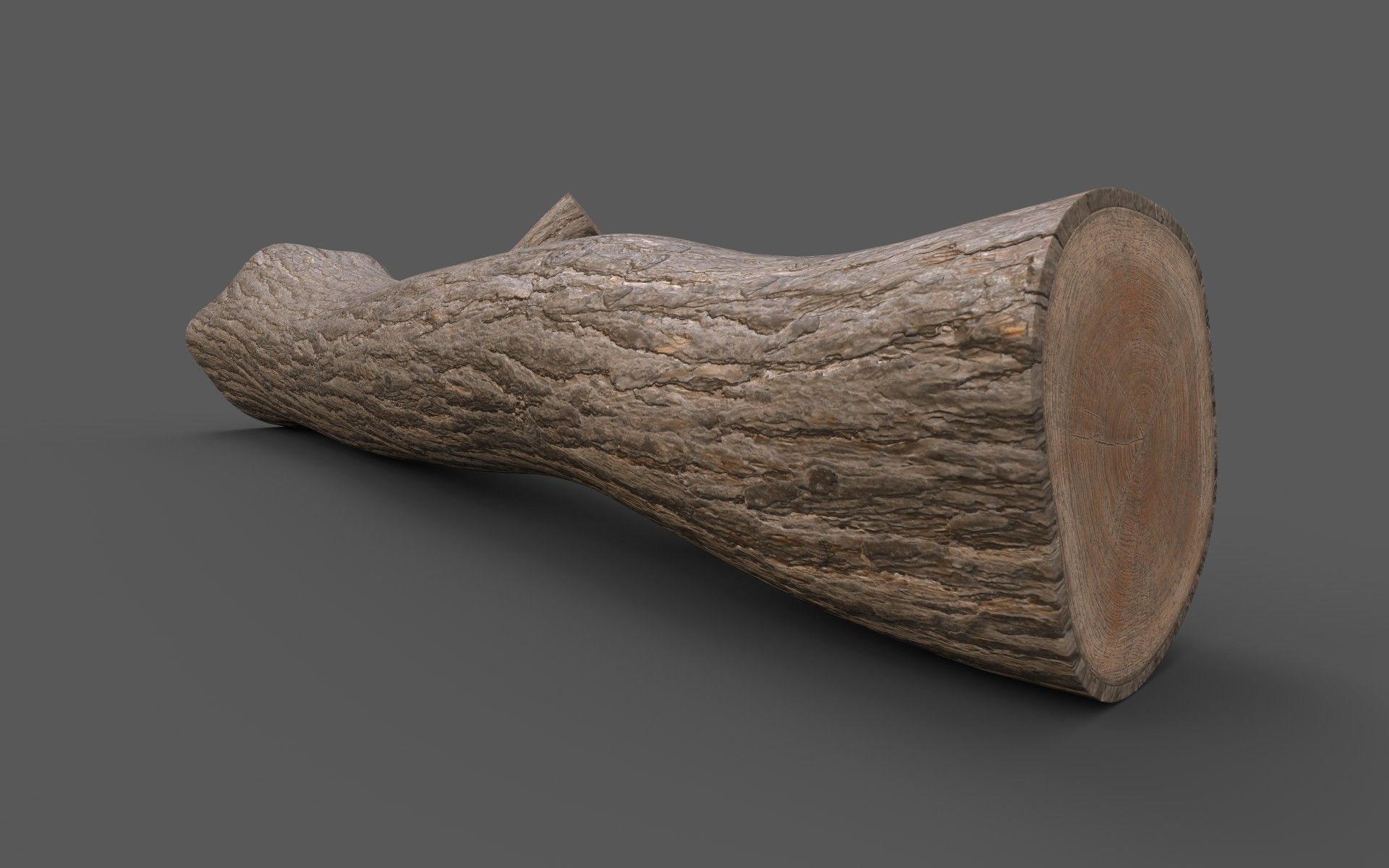 Big Pine Stump Low-Poly PBR Game Ready 3D Model Low-poly 3D model_8
