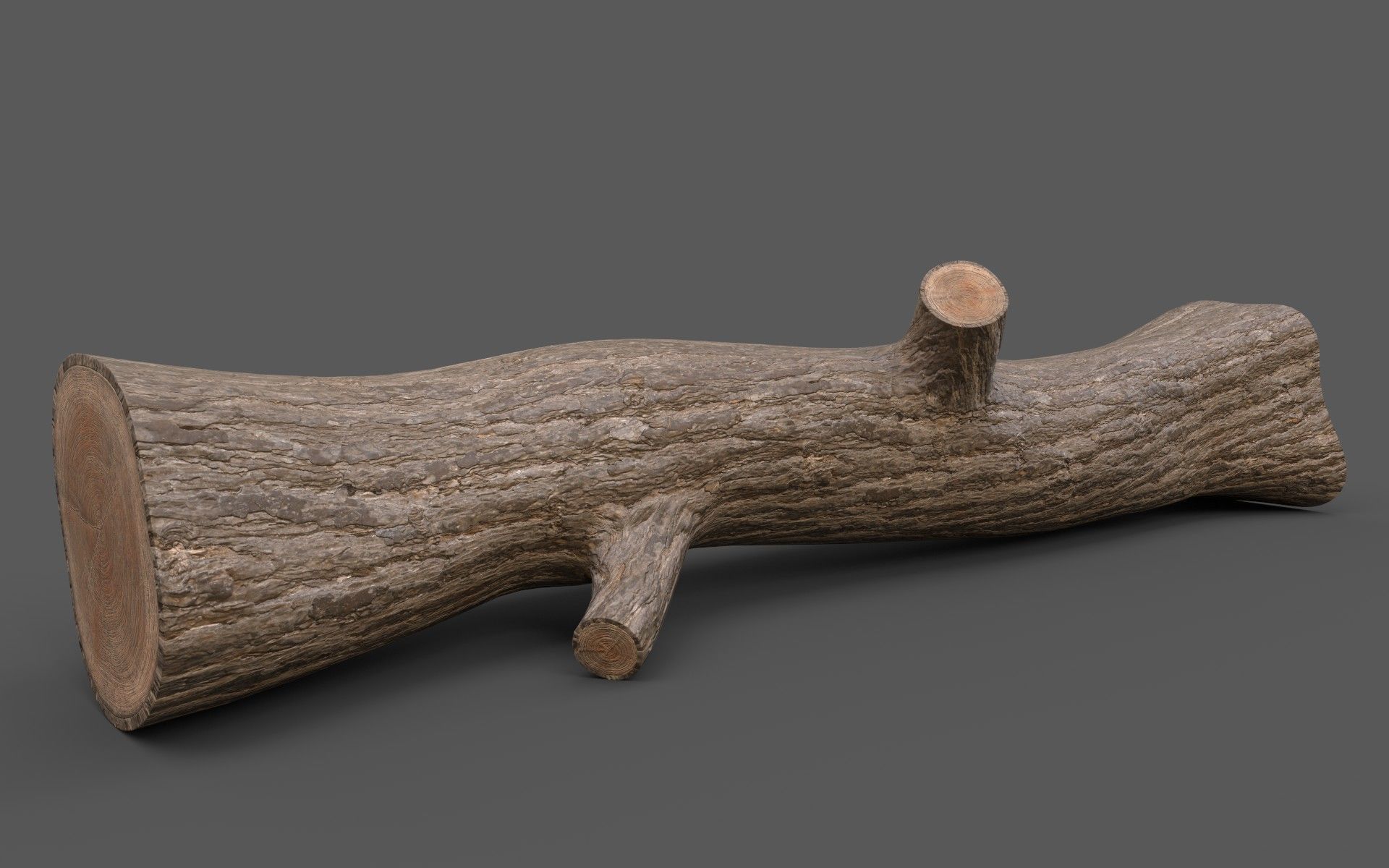 Big Pine Stump Low-Poly PBR Game Ready 3D Model Low-poly 3D model_1