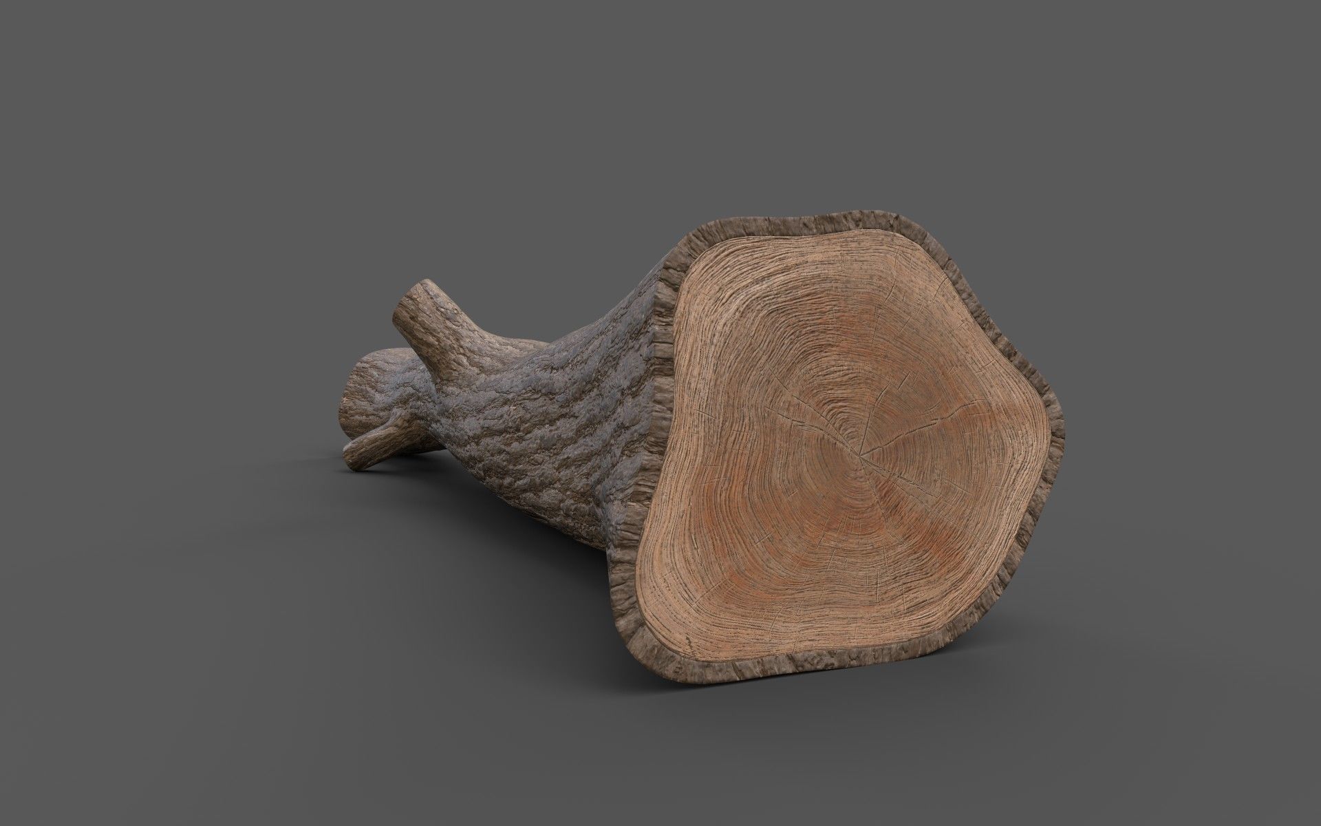 Big Pine Stump Low-Poly PBR Game Ready 3D Model Low-poly 3D model_10