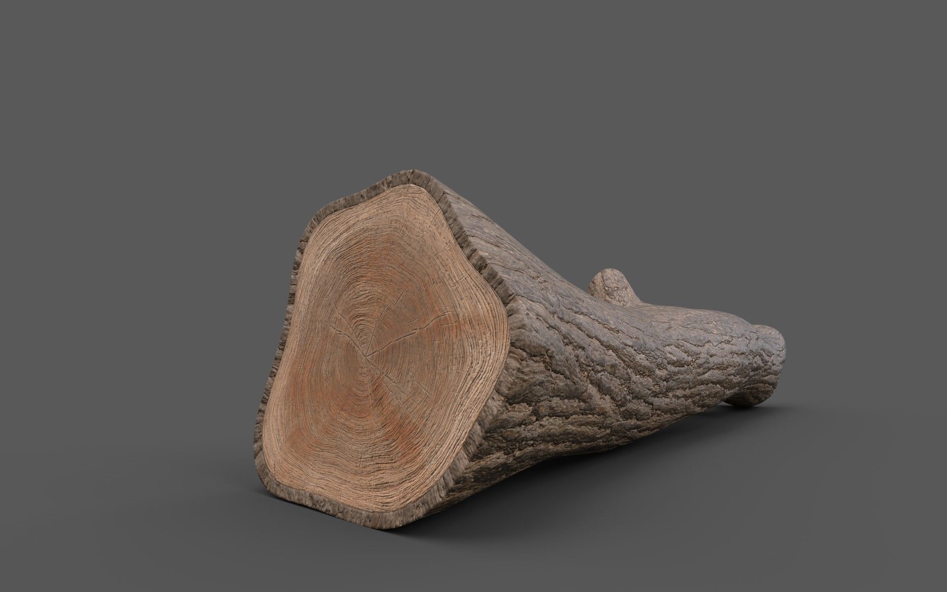 Big Pine Stump Low-Poly PBR Game Ready 3D Model Low-poly 3D model_15