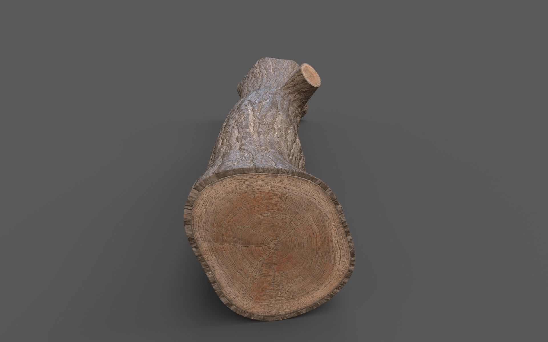 Big Pine Stump Low-Poly PBR Game Ready 3D Model Low-poly 3D model_13