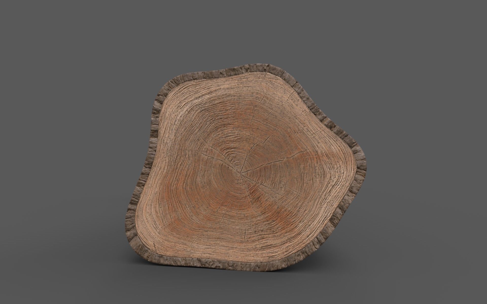 Big Pine Stump Low-Poly PBR Game Ready 3D Model Low-poly 3D model_3