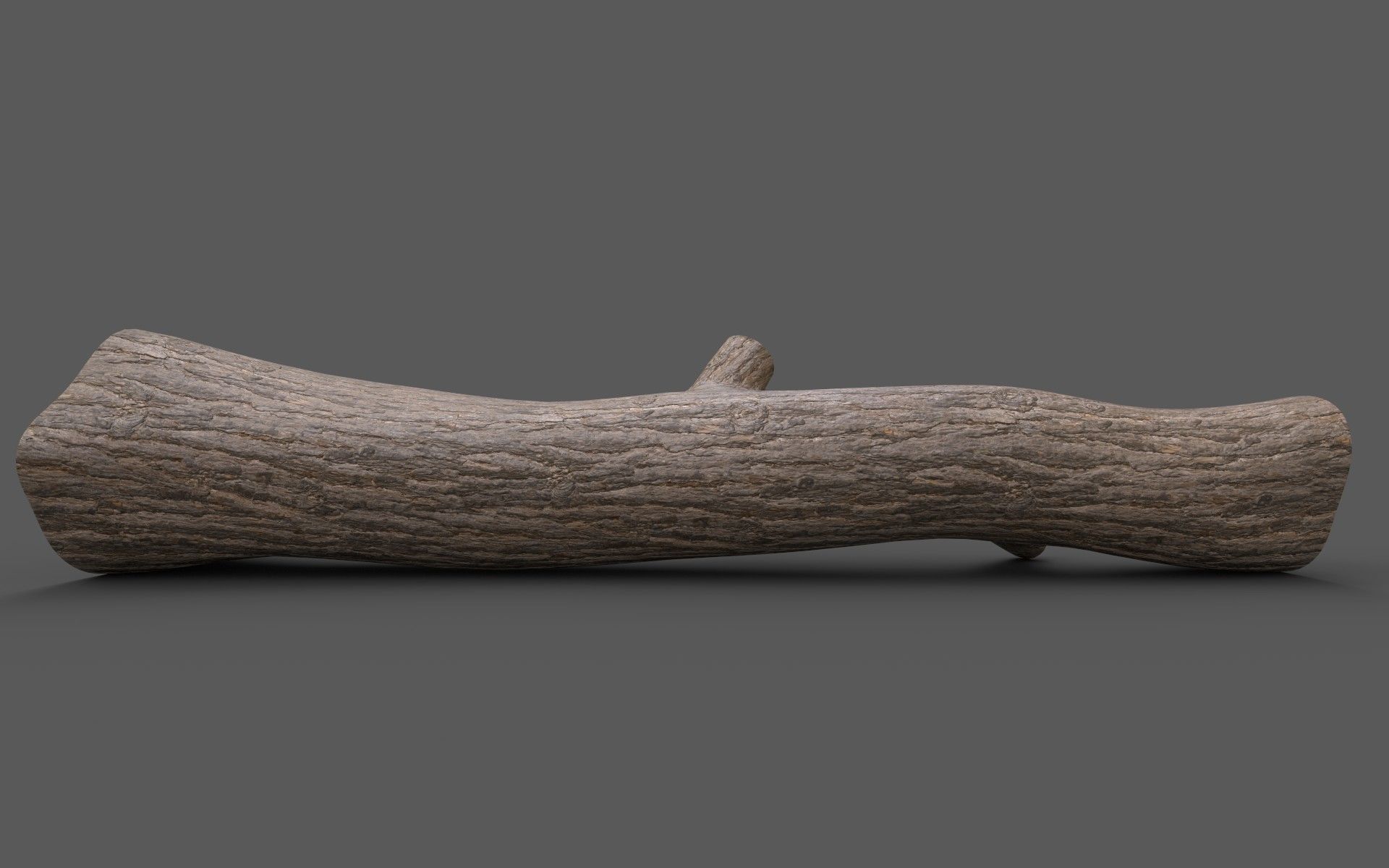 Big Pine Stump Low-Poly PBR Game Ready 3D Model Low-poly 3D model_4