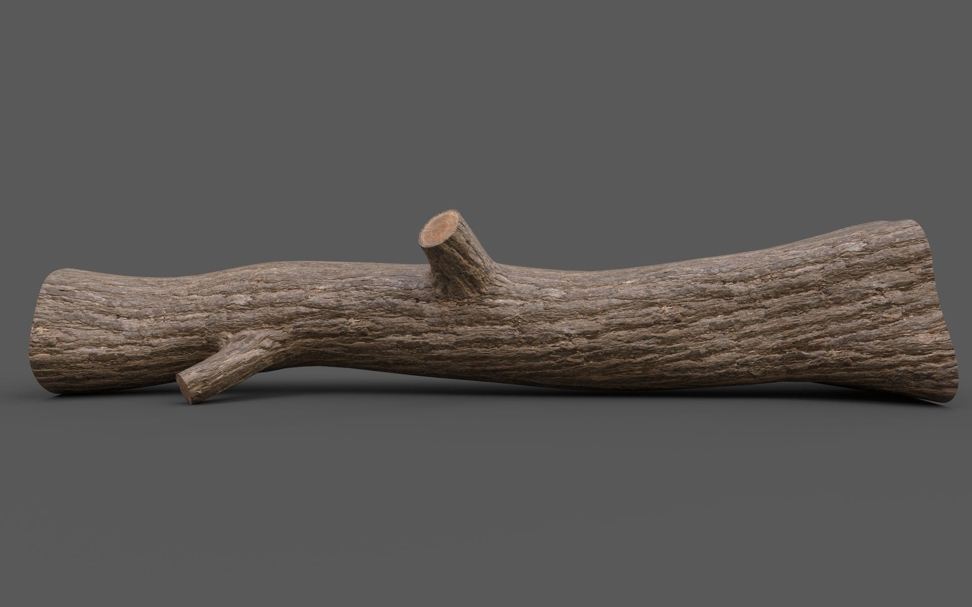 Big Pine Stump Low-Poly PBR Game Ready 3D Model Low-poly 3D model_2
