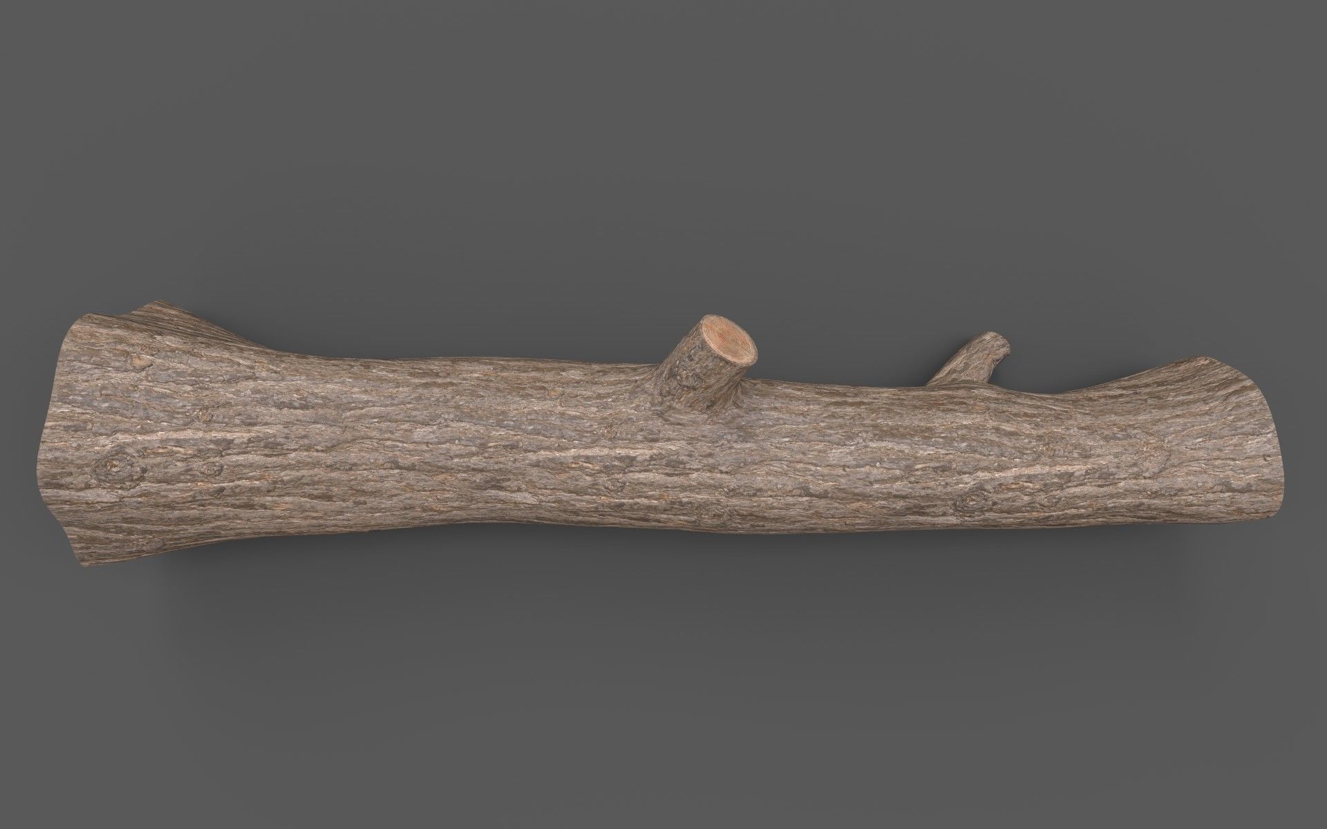 Big Pine Stump Low-Poly PBR Game Ready 3D Model Low-poly 3D model_6