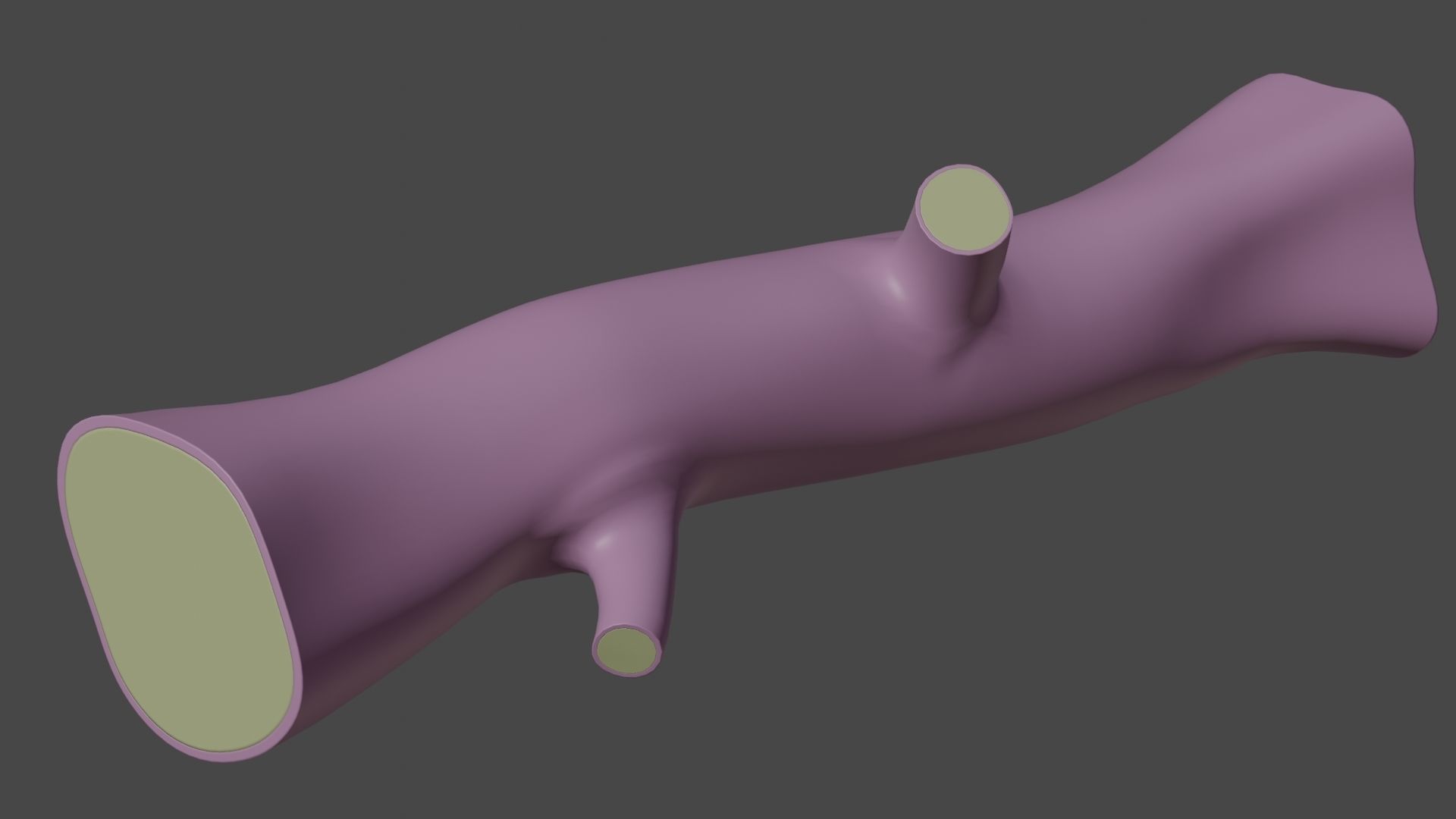 Big Pine Stump Low-Poly PBR Game Ready 3D Model Low-poly 3D model_17