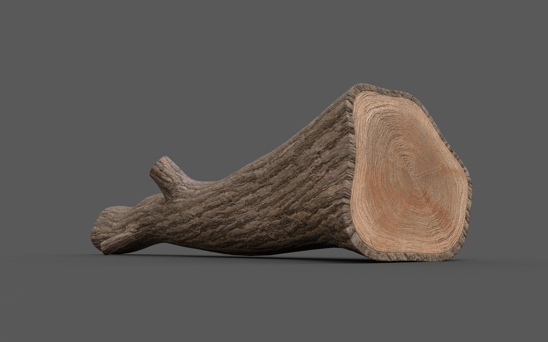 Big Pine Stump Low-Poly PBR Game Ready 3D Model Low-poly 3D model_12