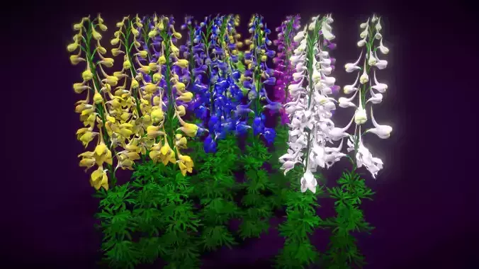 Flower Delphimum Ajacis Low-poly 3D model