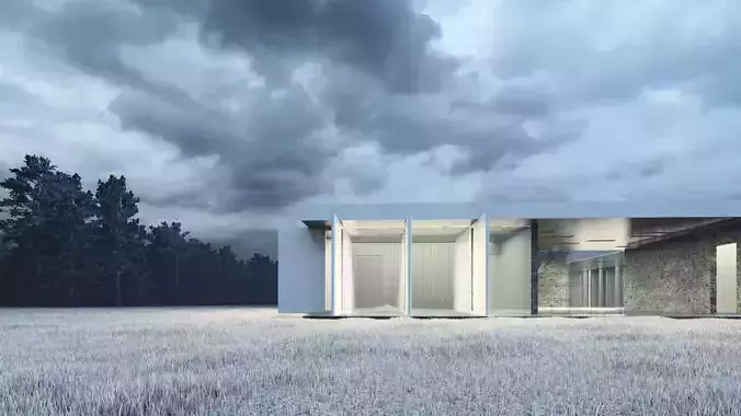 Modern Transparent House