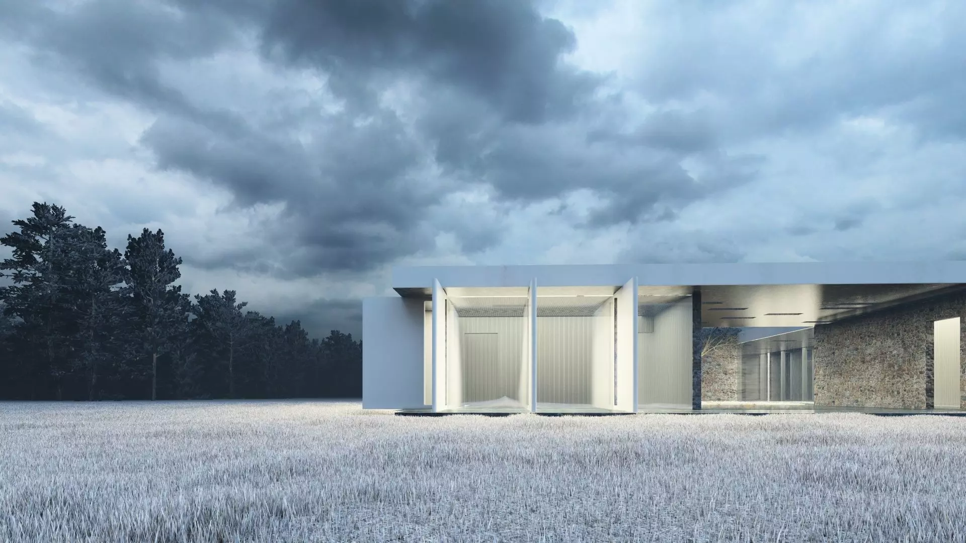 Modern Transparent House 3D model_0