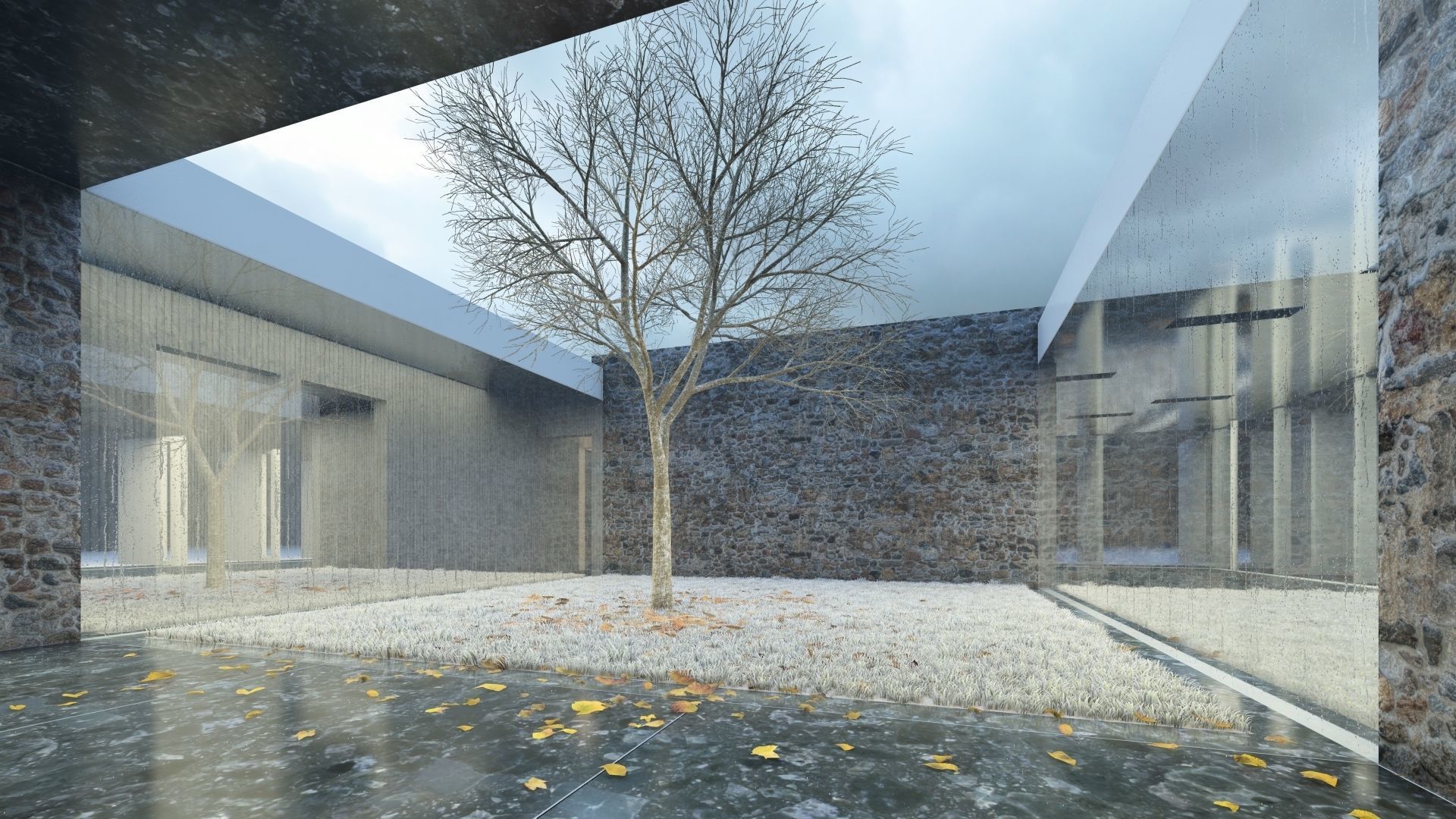 Modern Transparent House 3D model_2