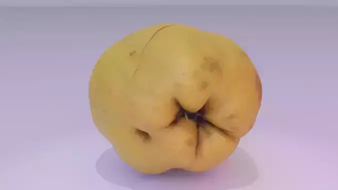 Quince fruit 01 high-poly 3D model