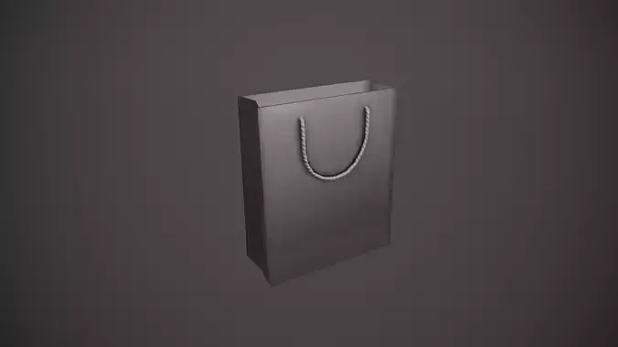 Silver Gift Bag