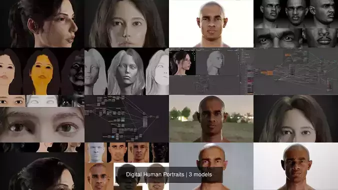 Digital Human Portraits 3D Model Collection