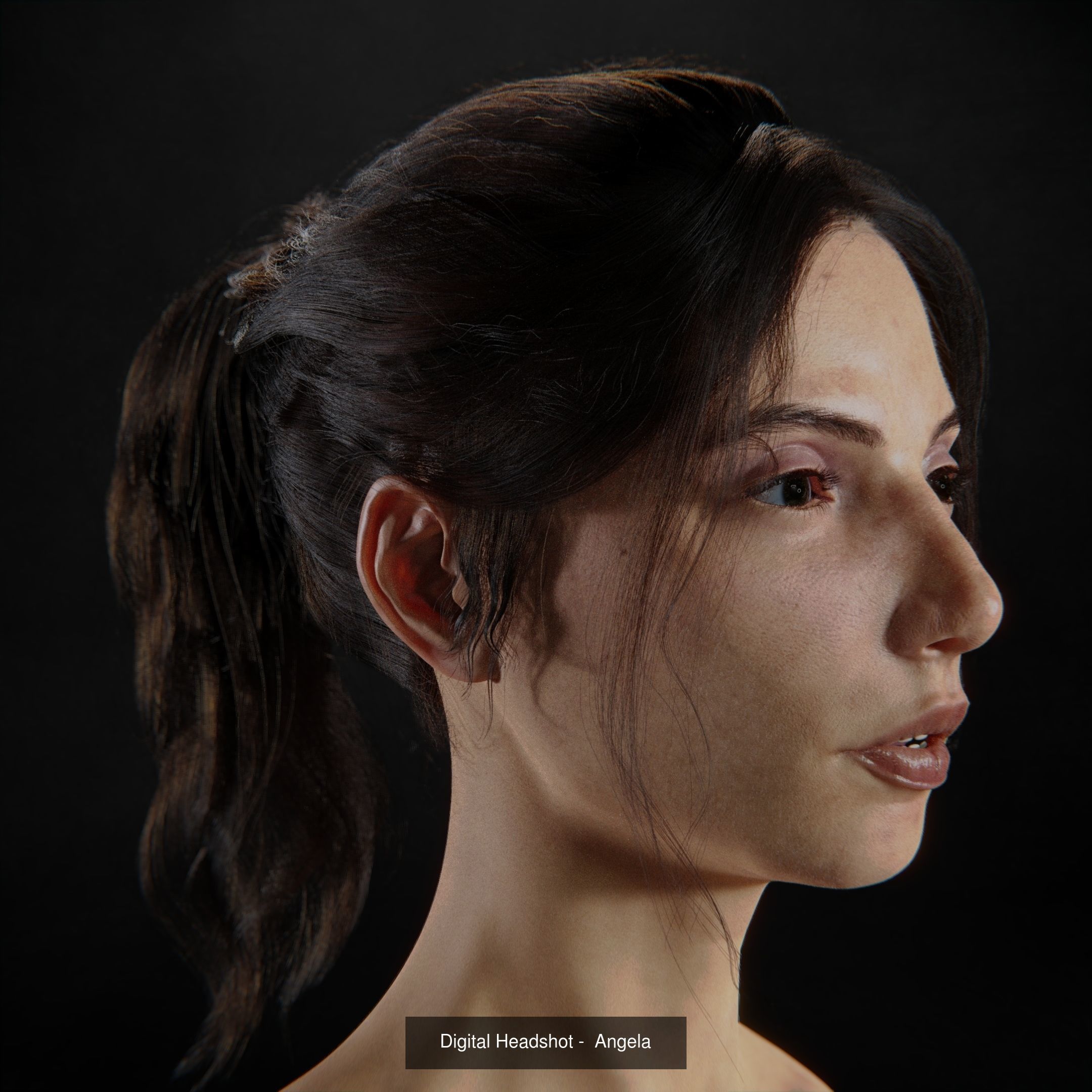 Digital Human Portraits 3D Model Collection_3