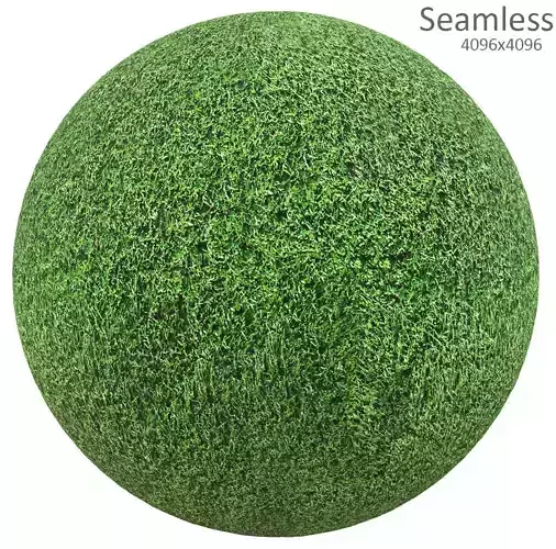 grass texture Texture