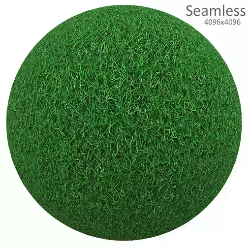 grass texture Texture