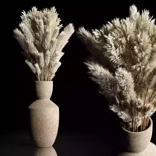 Dry Plants Bouquet Indoor concrete vase