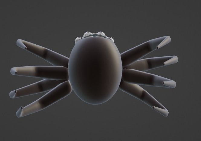 round spider 3D model_5