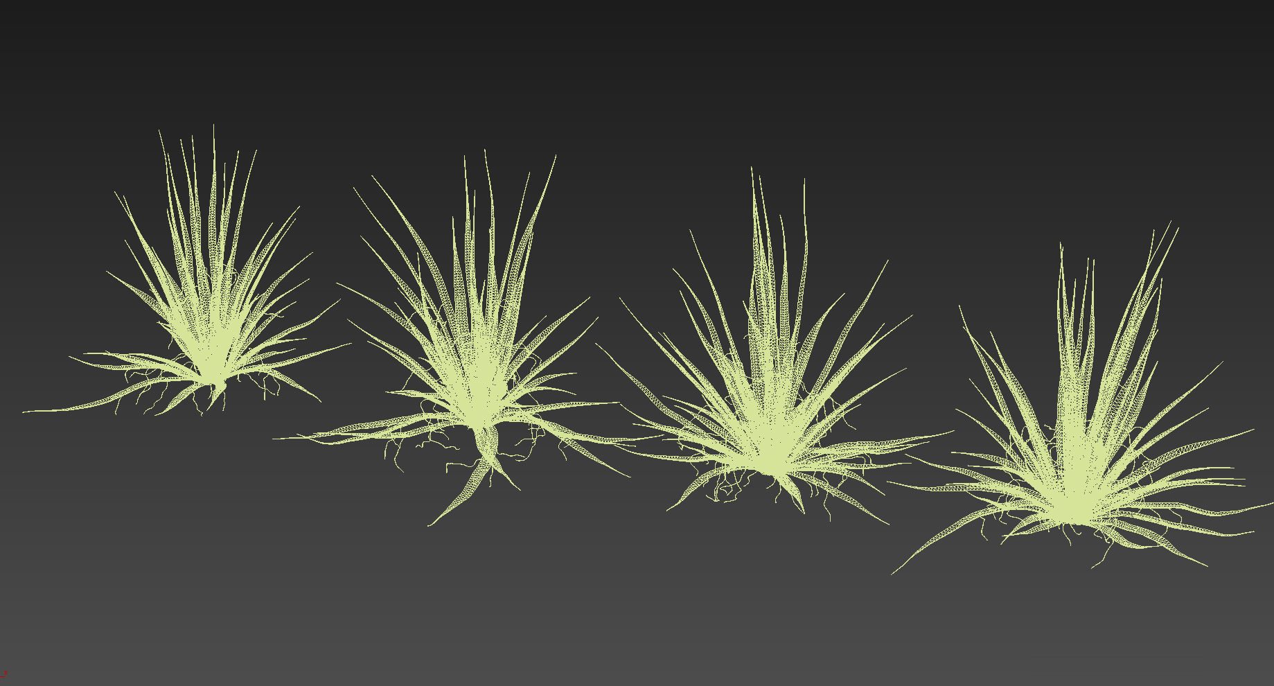 Agave I Agave angustifolia angustifolia 3D model_4