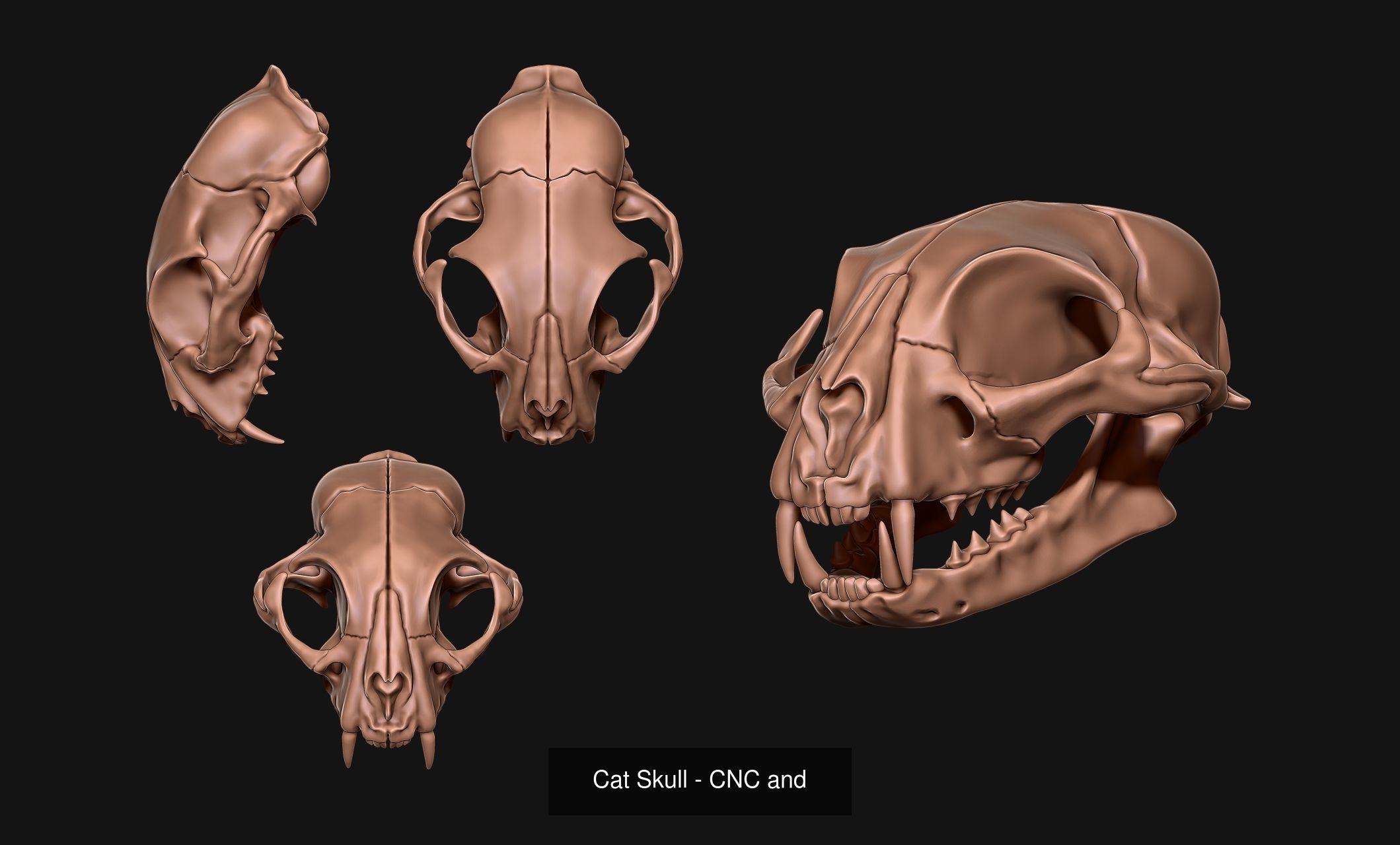 Animal Skulls Vol 1 - CNC and 3D Print 3D Model Collection_7
