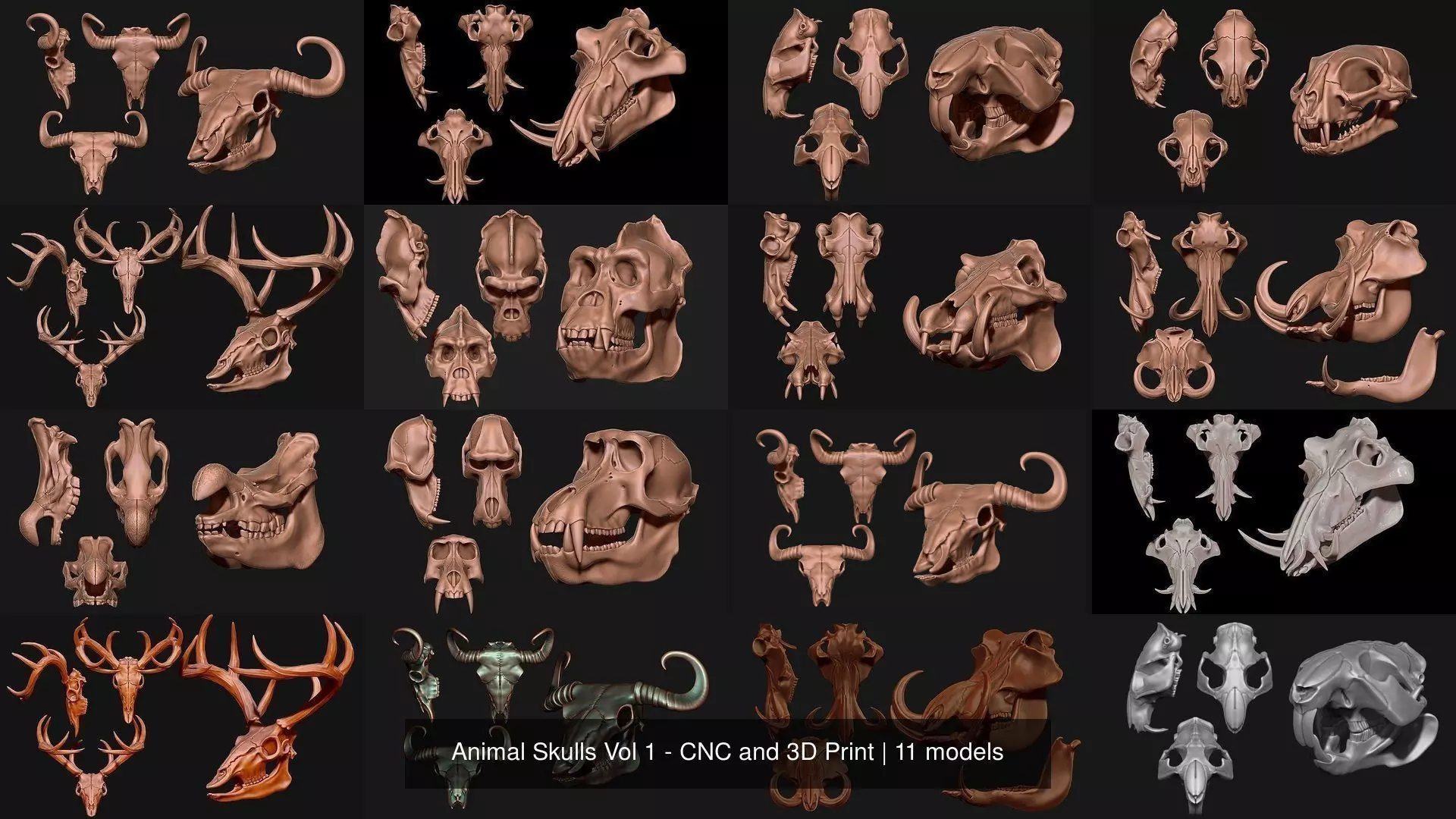 Animal Skulls Vol 1 - CNC and 3D Print 3D Model Collection_0