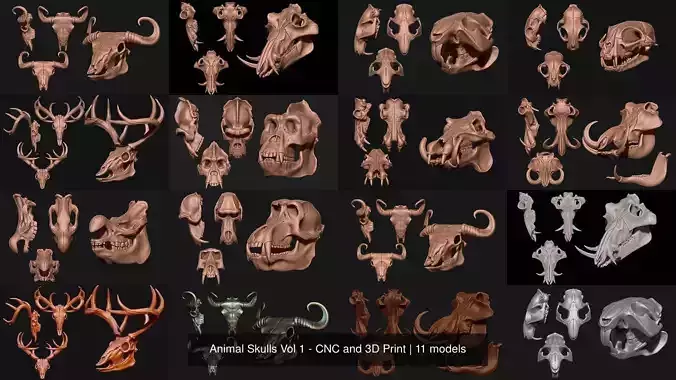 Animal Skulls Vol 1 - CNC and 3D Print 3D Model Collection