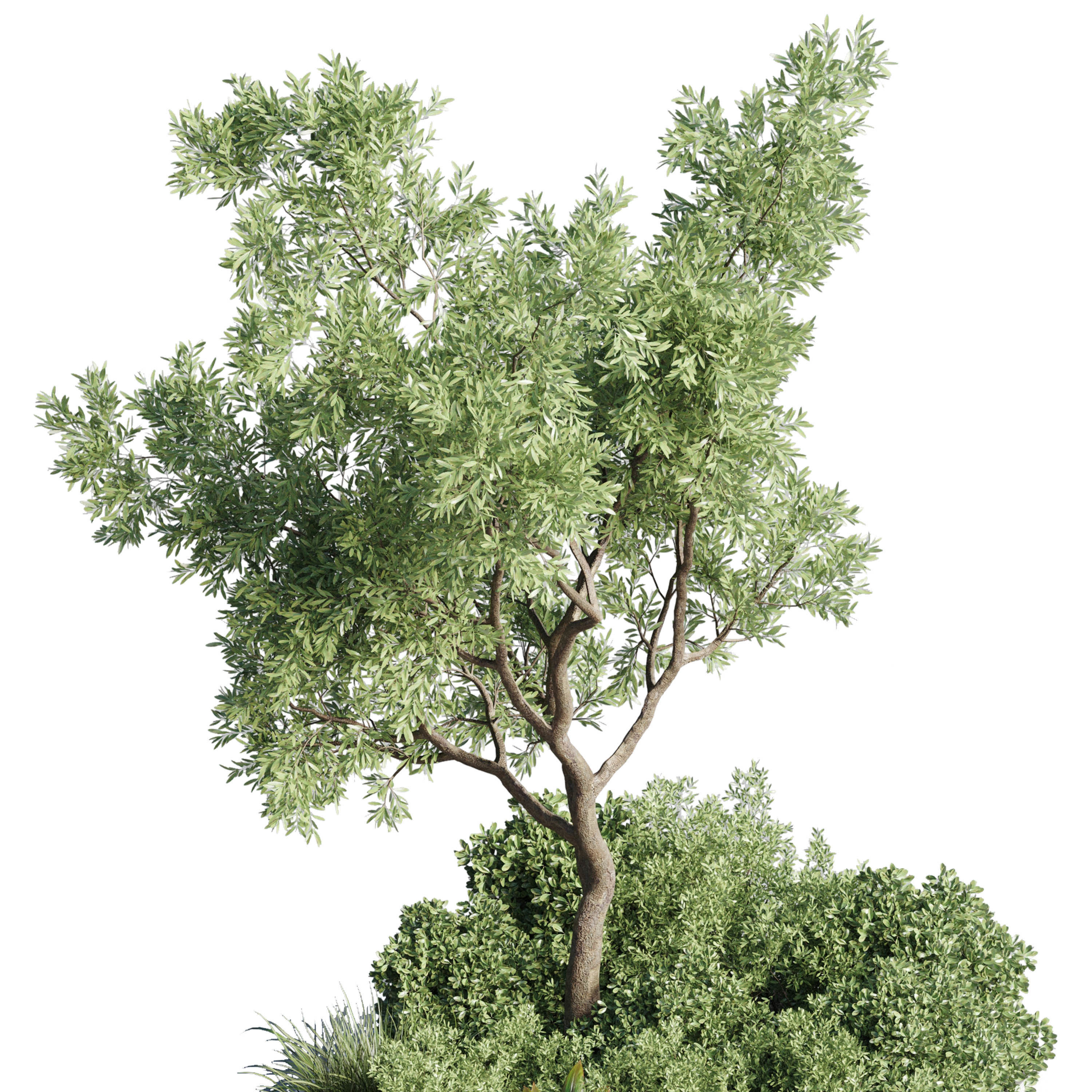 Urban Environment Urban Furniture Green Benches Plants and Tree 3D model_3