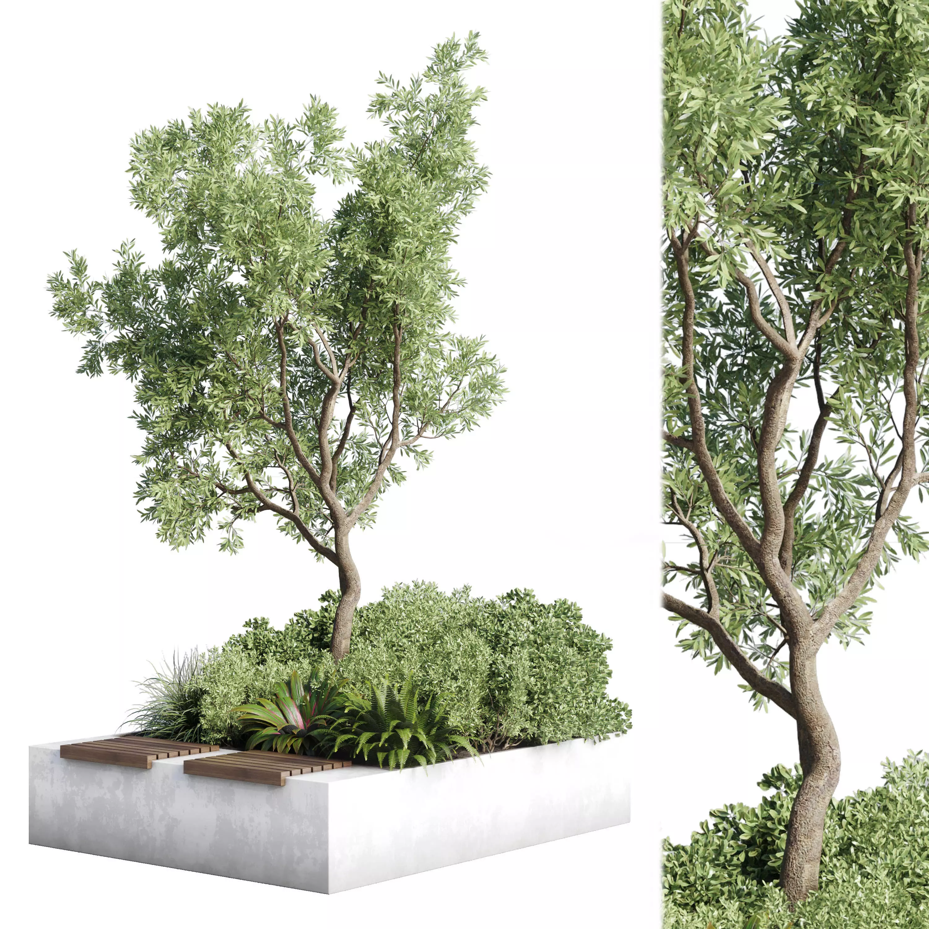 Urban Environment Urban Furniture Green Benches Plants and Tree 3D model_0