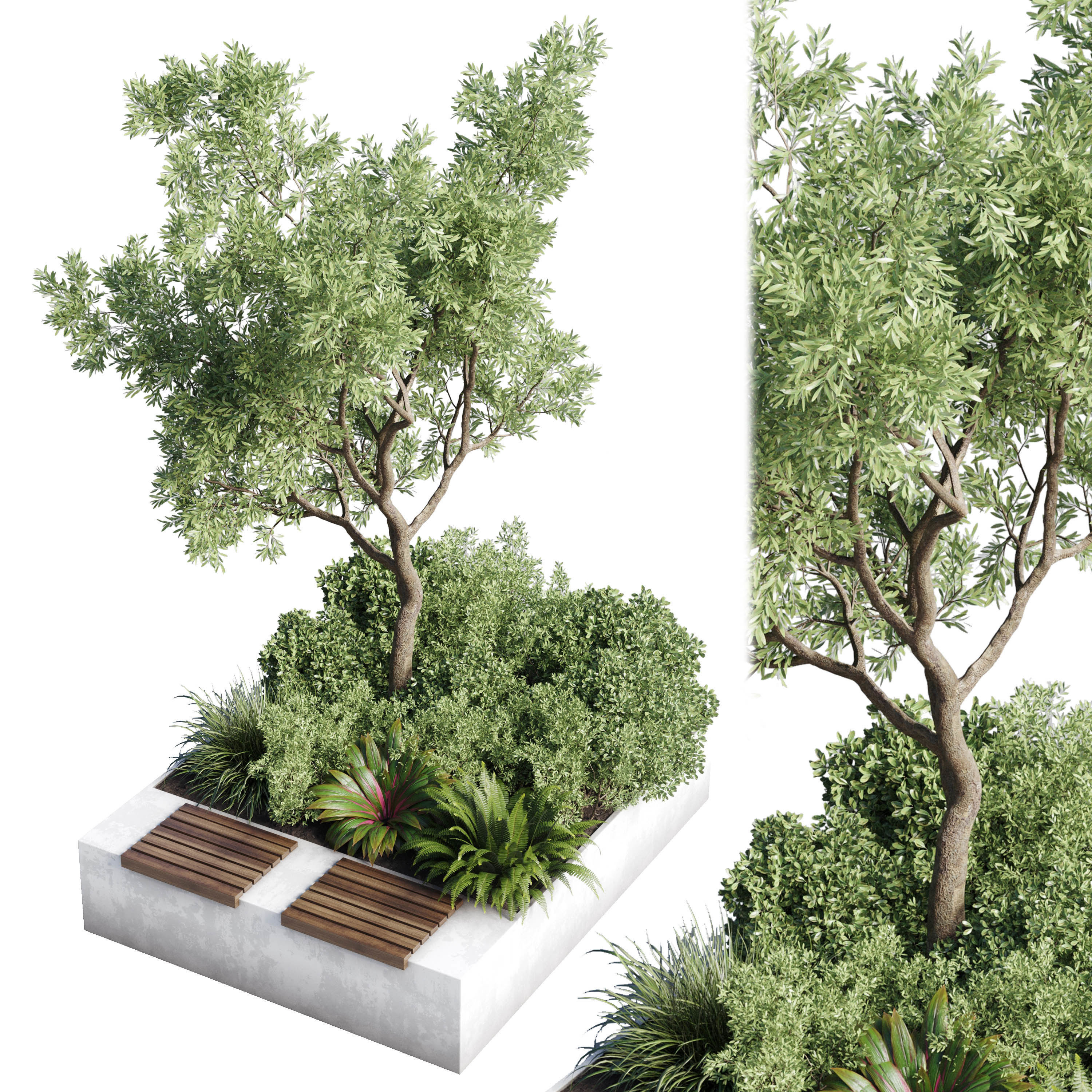 Urban Environment Urban Furniture Green Benches Plants and Tree 3D model_1